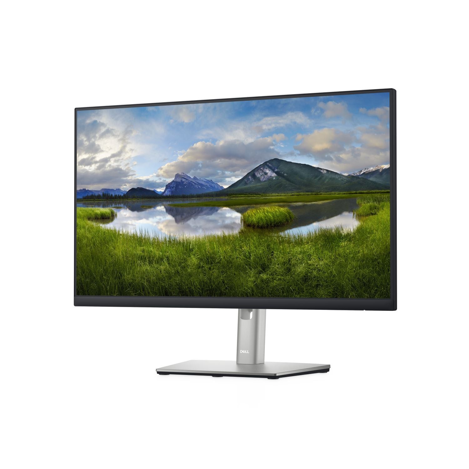 Monitor 24'  LED display- P2422H